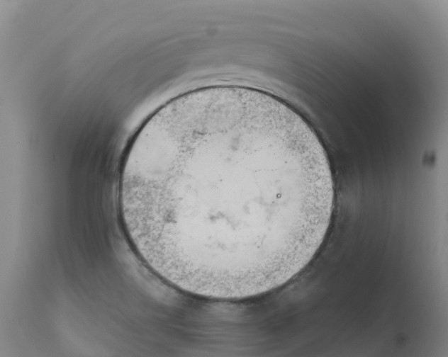 X0000111821514200908131510