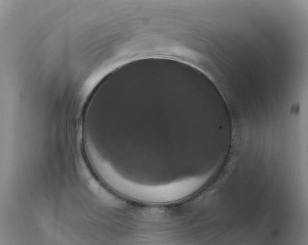 X0000111821515200908131510