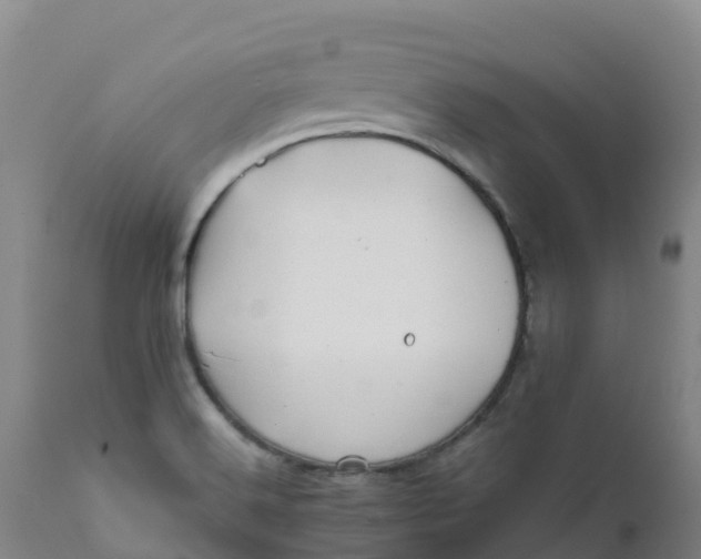 X0000111821516200908131510