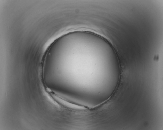 X0000111821518200908131510