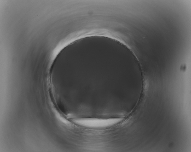 X0000111821519200908131510