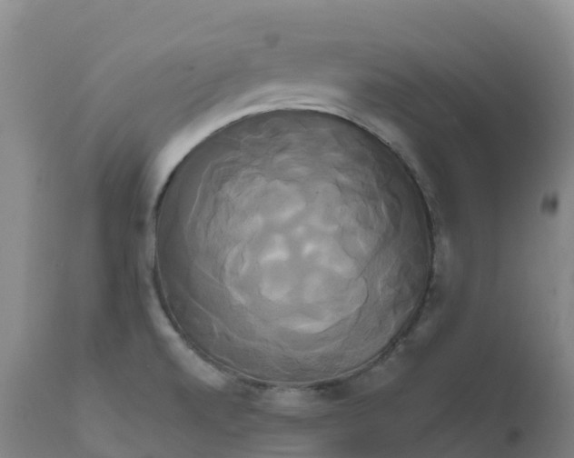 X0000111821520200908131510