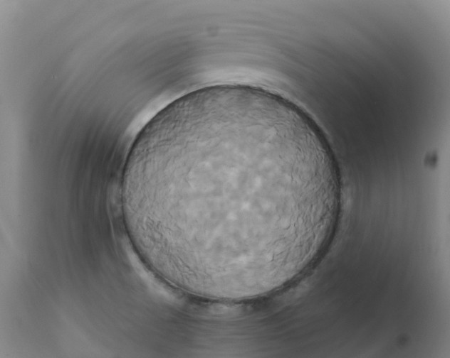 X0000111821521200908131510