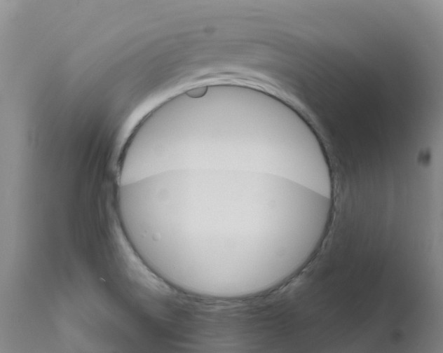 X0000111821522200908131510