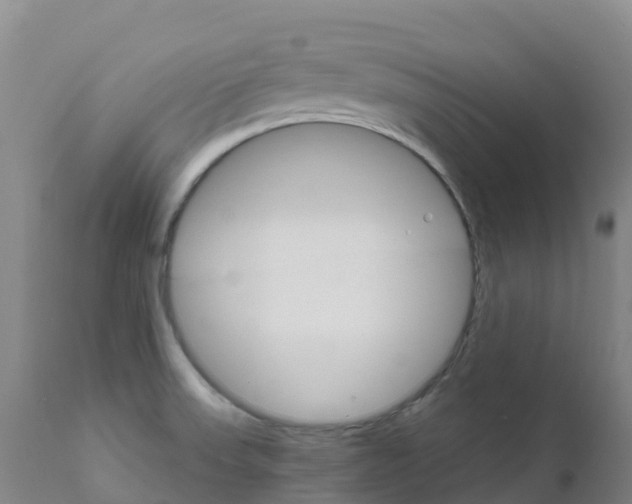 X0000111821523200908131510