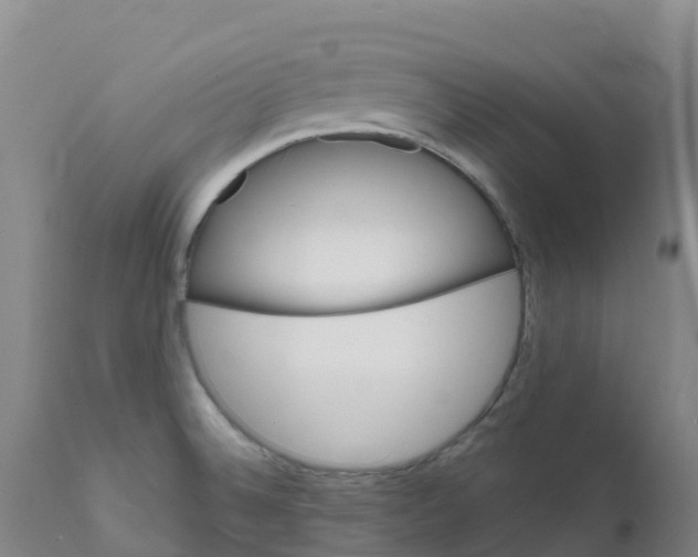 X0000111821524200908131510