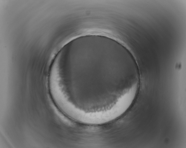 X0000111821525200908131510