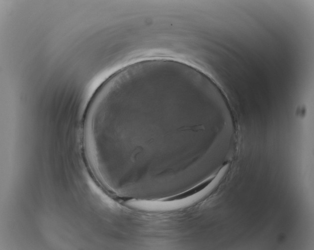 X0000111821527200908131510