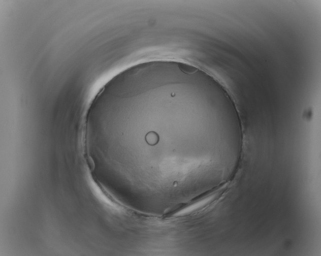 X0000111821528200908131510