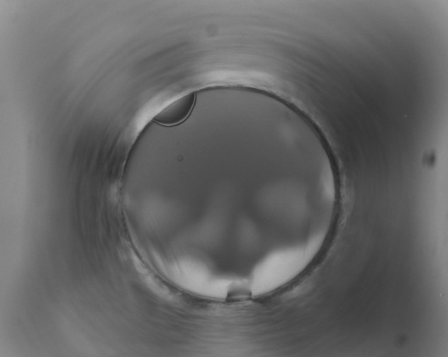 X0000111821529200908131510