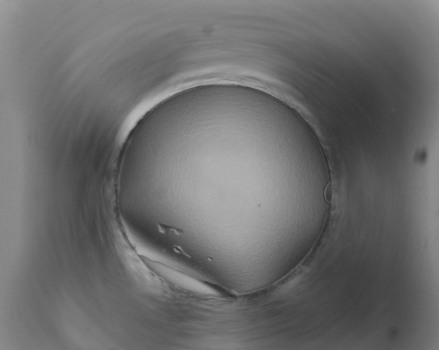 X0000111821530200908131510