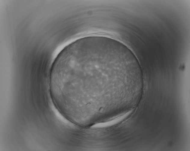 X0000111821531200908131510