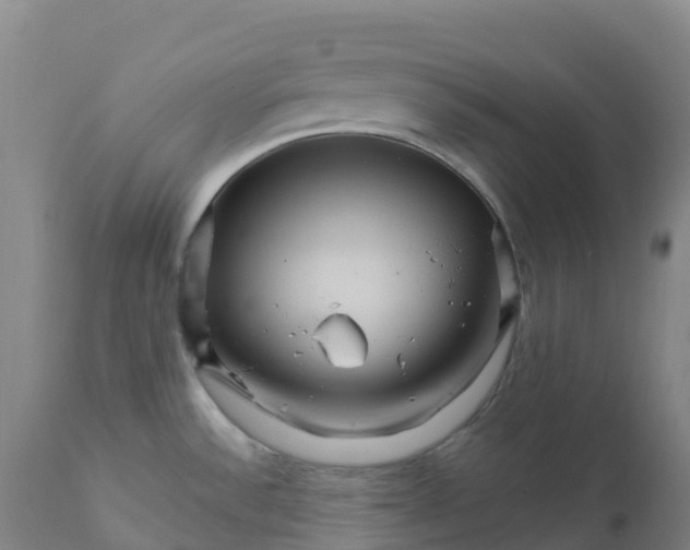 X0000111821532200908131510