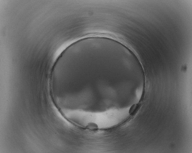 X0000111821533200908131510