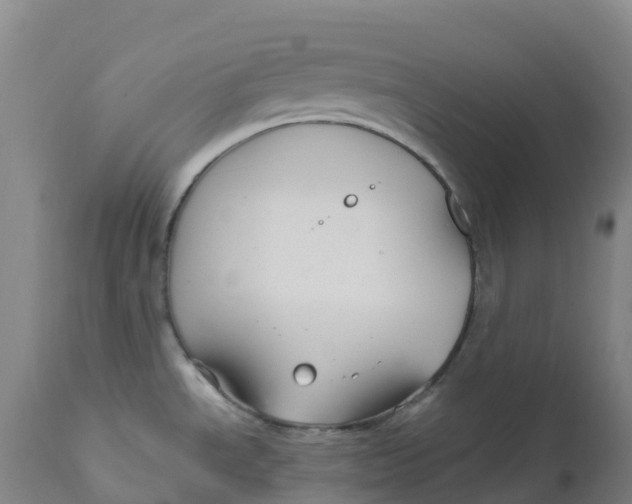 X0000111821534200908131510