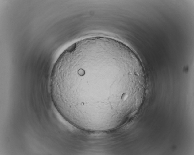 X0000111821535200908131510