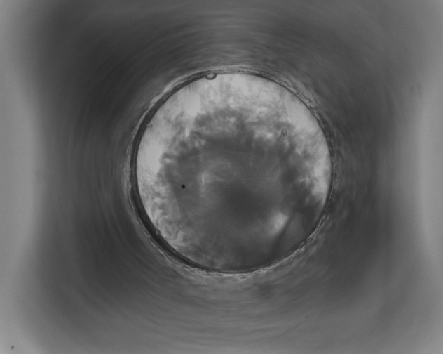 X0000111820002200908201140