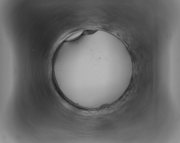 X0000111820005200908201140