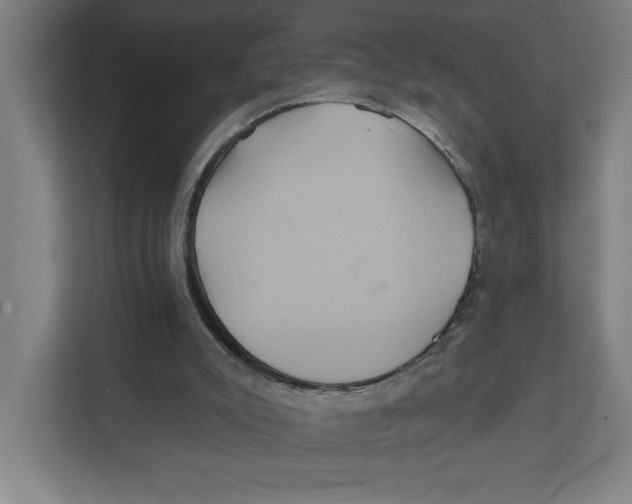 X0000111820007200908201140