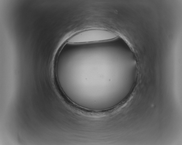 X0000111820008200908201140