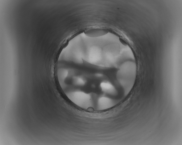 X0000111820010200908201140
