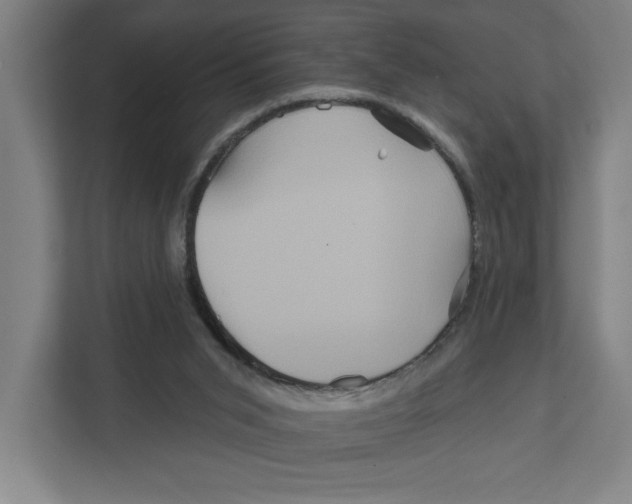 X0000111820015200908201140