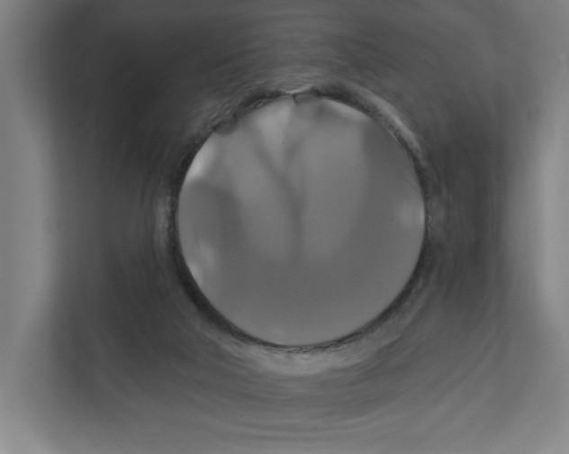X0000111820018200908201140