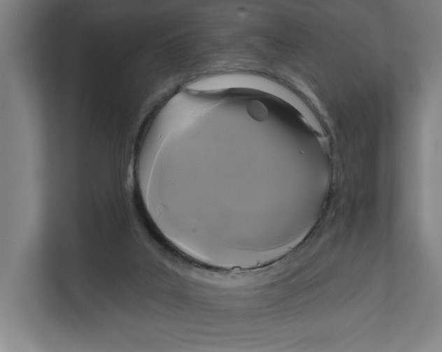 X0000111820019200908201140
