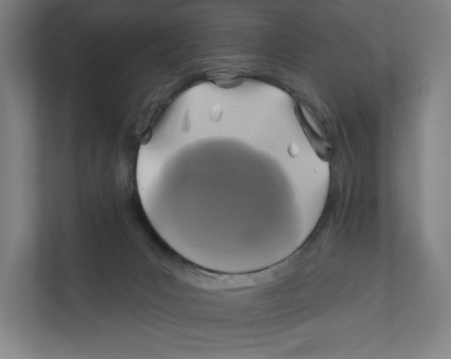 X0000111820031200908201140