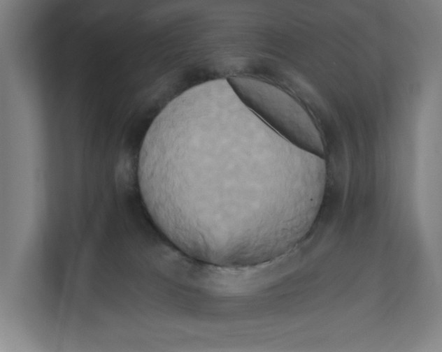 X0000111820037200908201139