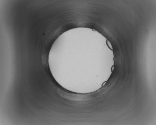 X0000111820044200908201139