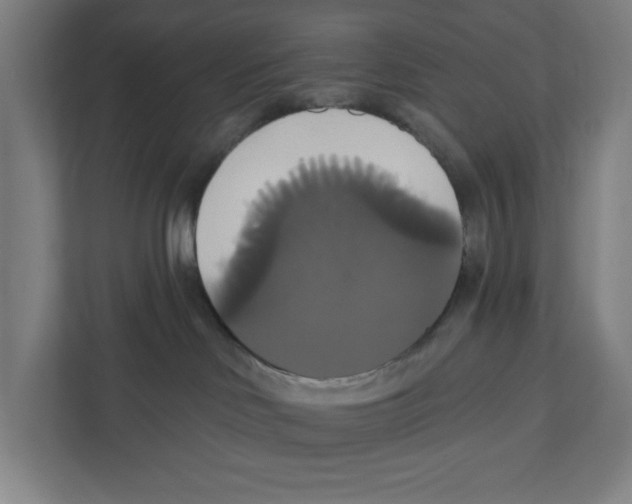 X0000111820046200908201139