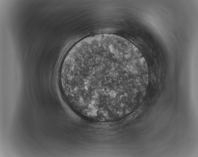 X0000111820049200908201139