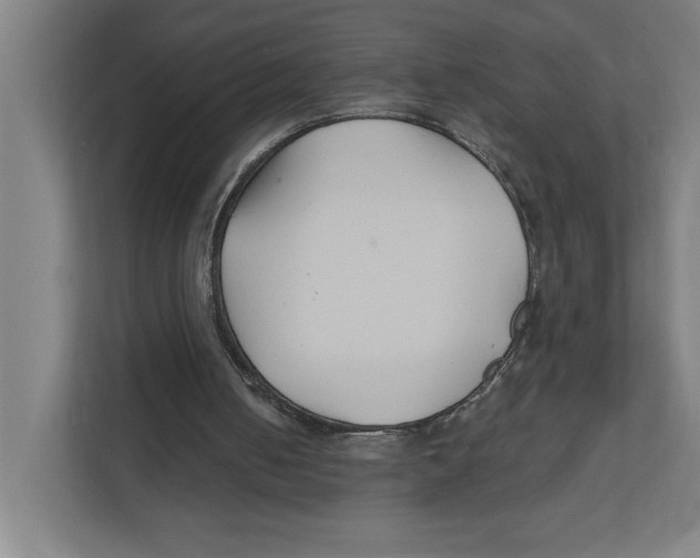 X0000111820050200908201139