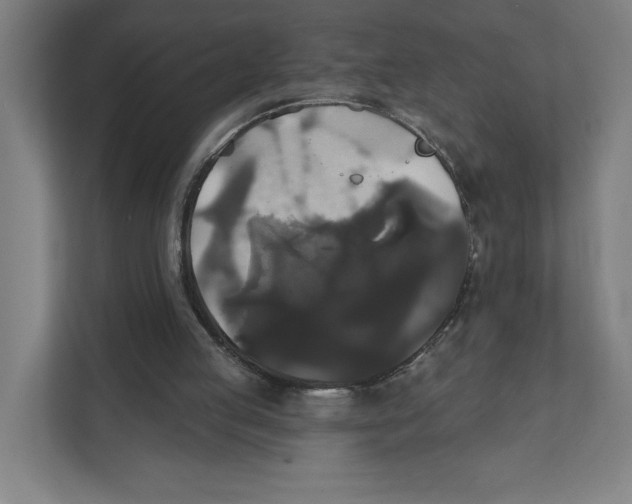X0000111820053200908201139