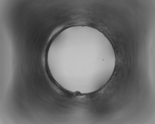 X0000111820054200908201139