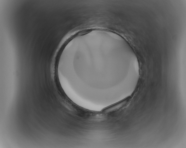 X0000111820056200908201139