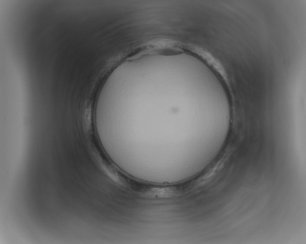 X0000111820057200908201139