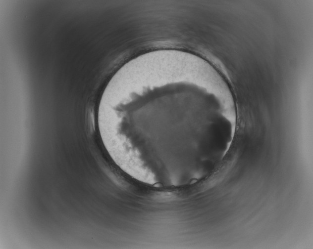 X0000111820061200908201139