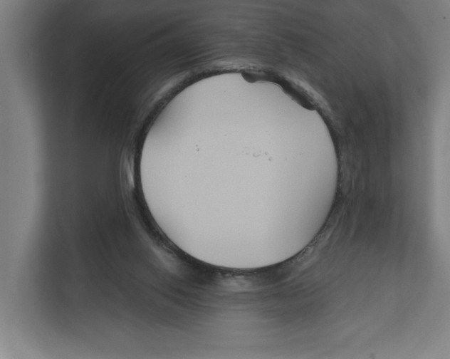 X0000111820062200908201139
