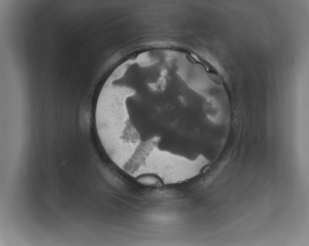 X0000111820063200908201139