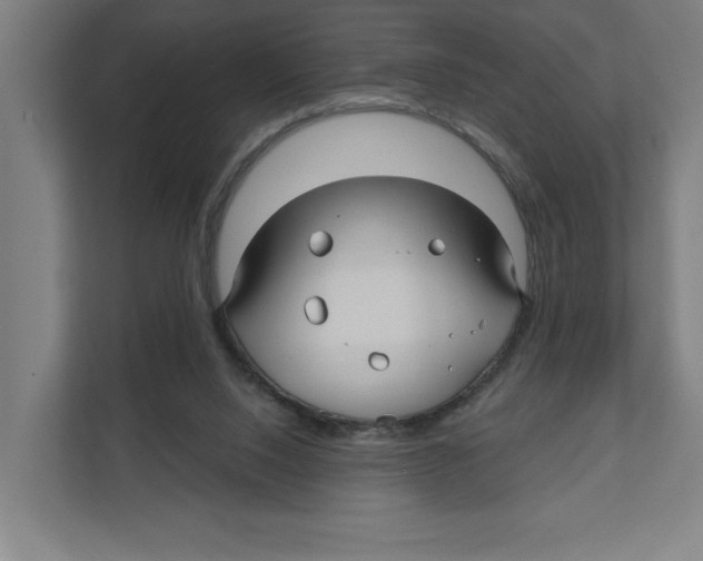 X0000111820064200908201139