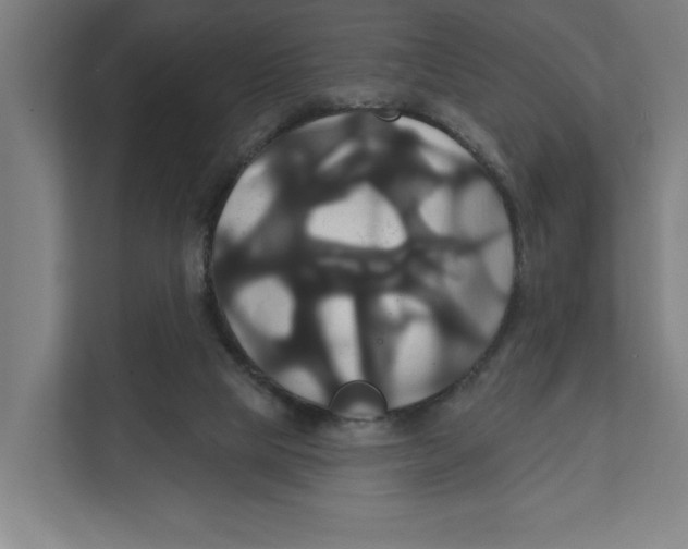 X0000111820065200908201139