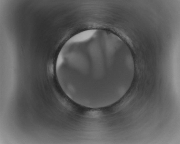 X0000111820067200908201139