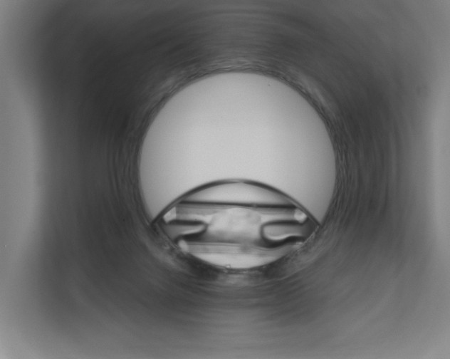 X0000111820072200908201139