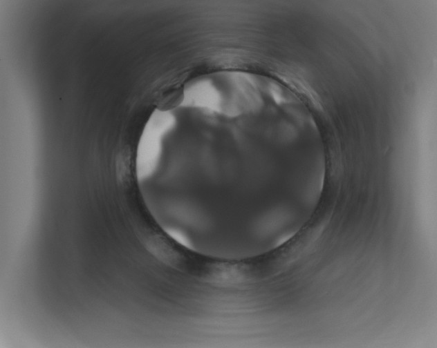 X0000111820073200908201139