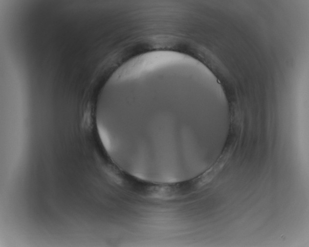 X0000111820074200908201139