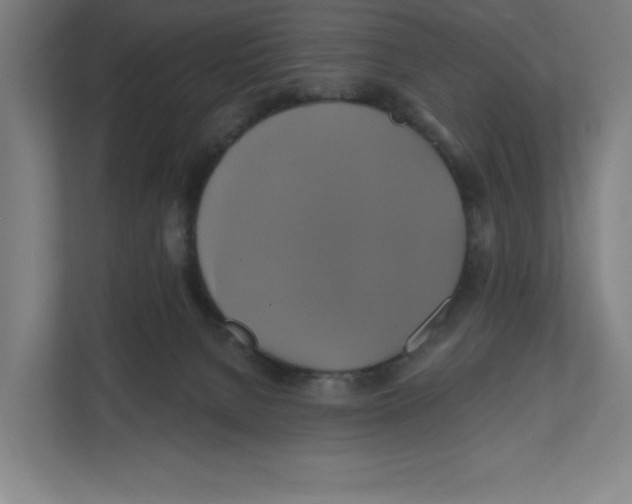 X0000111820080200908201139