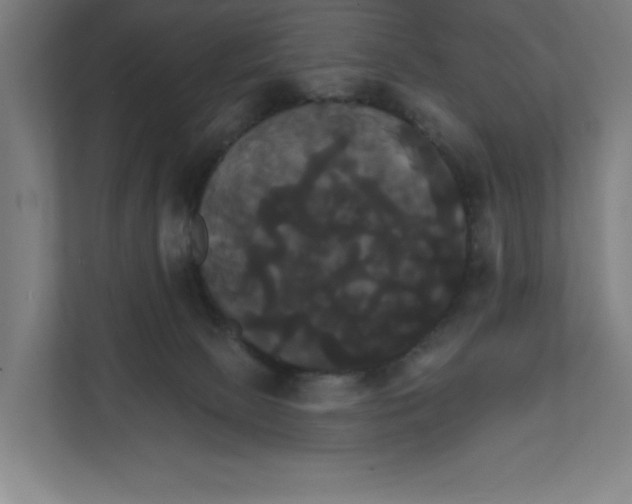 X0000111820081200908201139