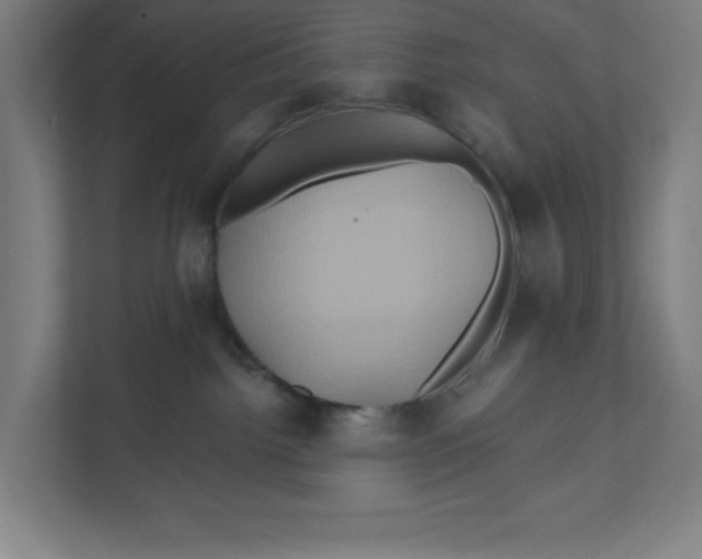 X0000111820092200908201139